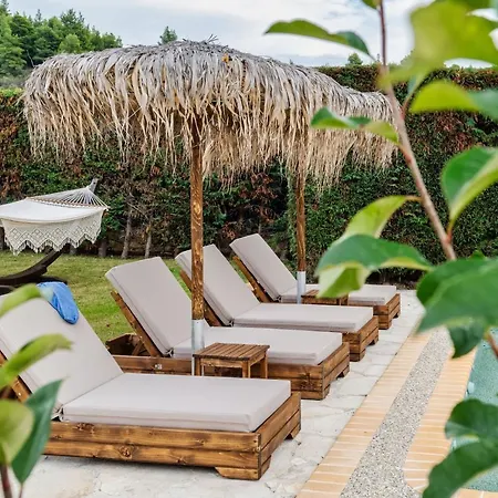 Palmrise Luxury By Travel Pro Services - Halkidiki Villa Nea Skioni